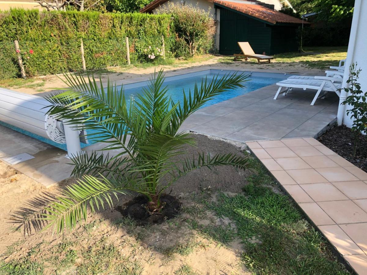 Maison Landaise Moderne Piscine Chauffee Spa Lit-et-Mixe Dış mekan fotoğraf